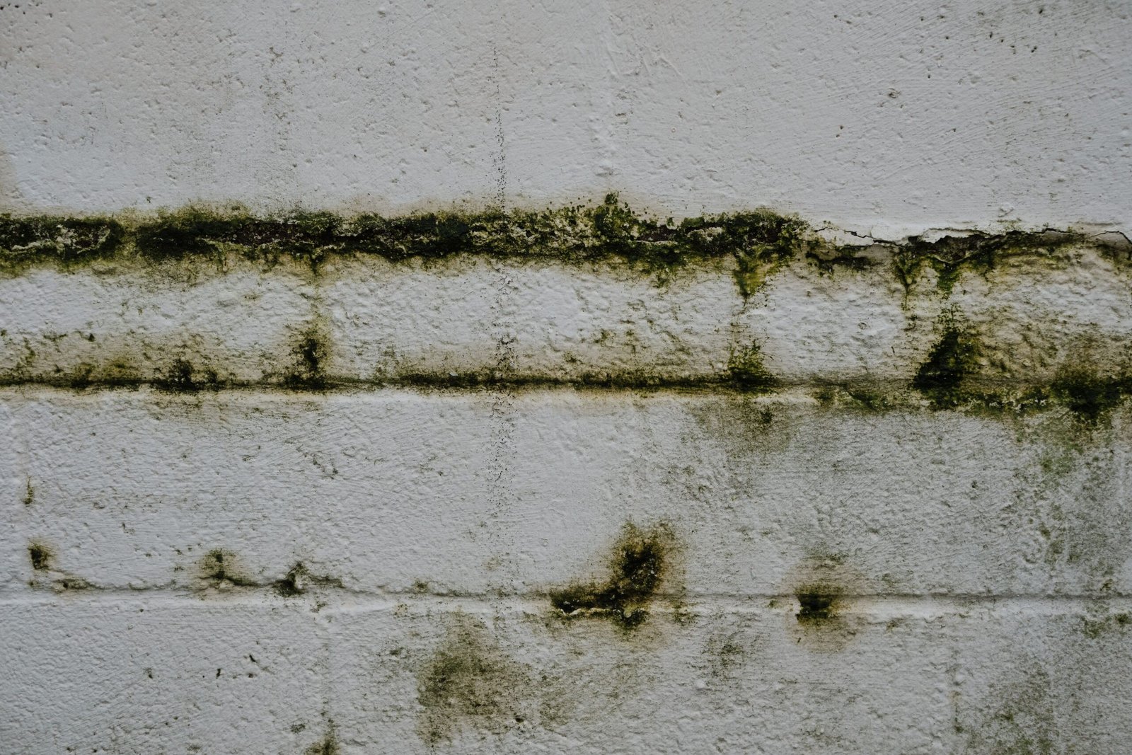 Close-up of an aged mossy brick wall in Greystoke, England.